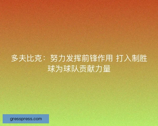 多夫比克：努力发挥前锋作用 打入制胜球为球队贡献力量